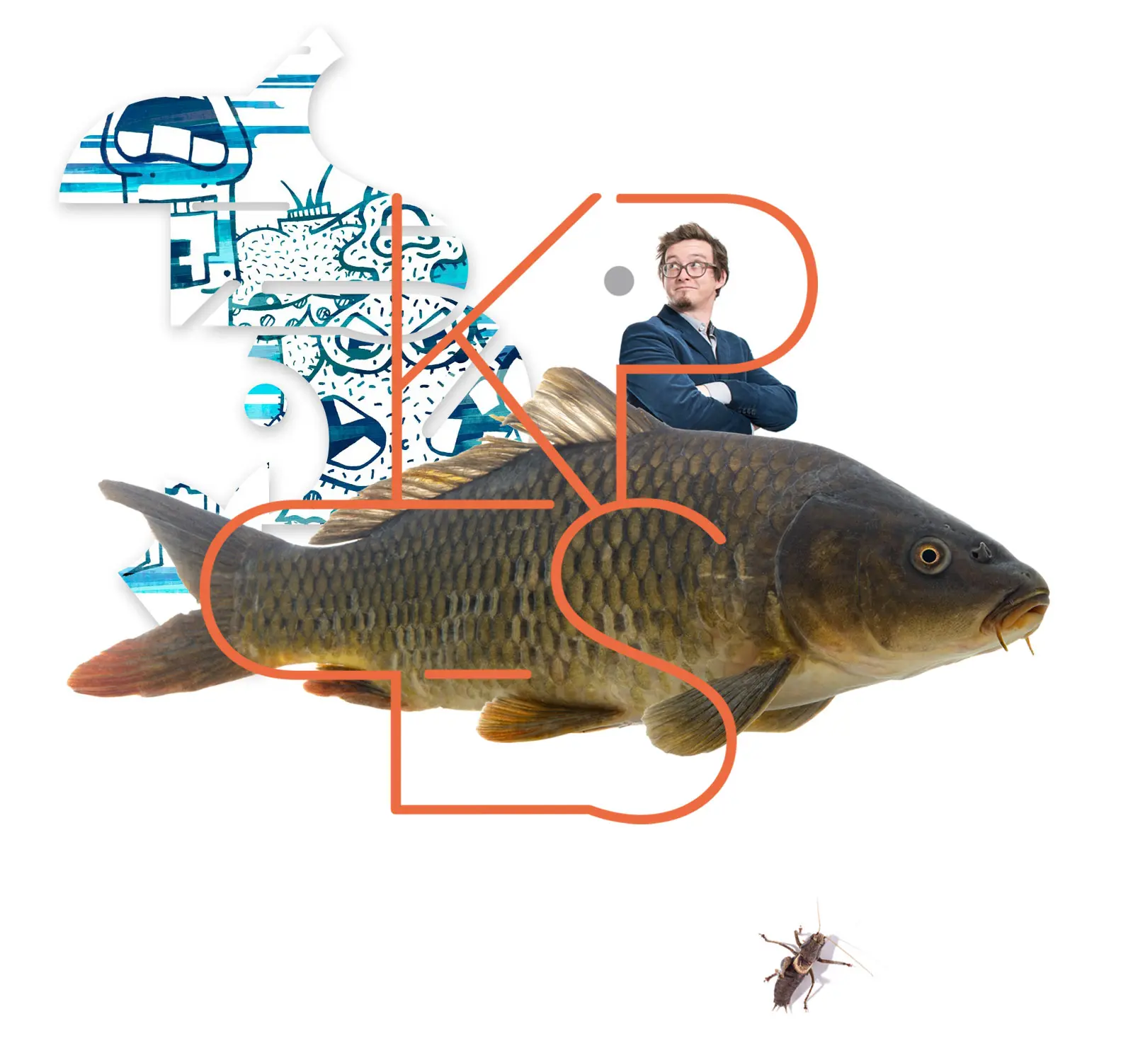 Grafikdeign von Georg Kippes, Foto von einem Karpfen der frei schwimmt, Kippes Logo, Heuschrecke und Illuwillu Artwork
